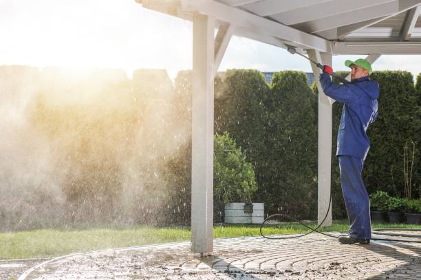 Best House Exterior Washing  in Rochester, MN